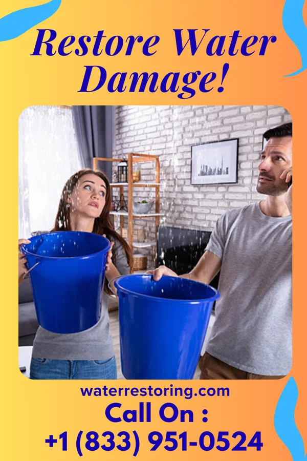 water restoration Stellar Restoration Solutions & Associates Leslie