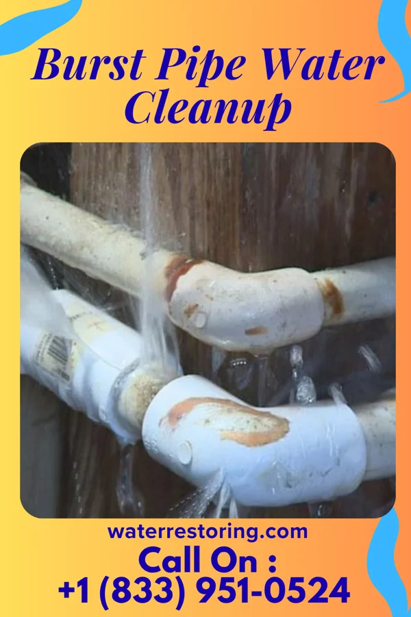 Burst Pipe Water Cleanup in Leslie, MI