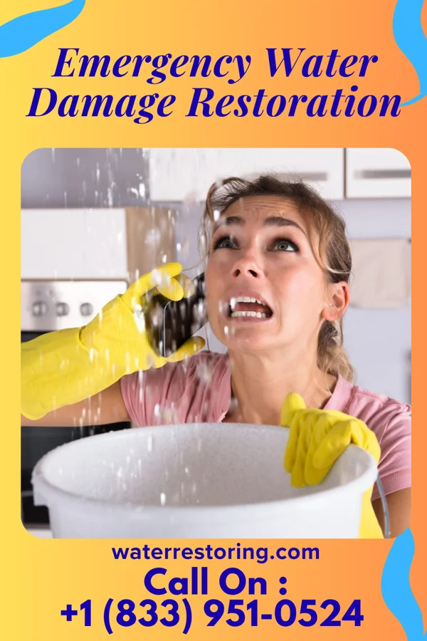 Emergency Water Damage Restoration in Leslie, MI
