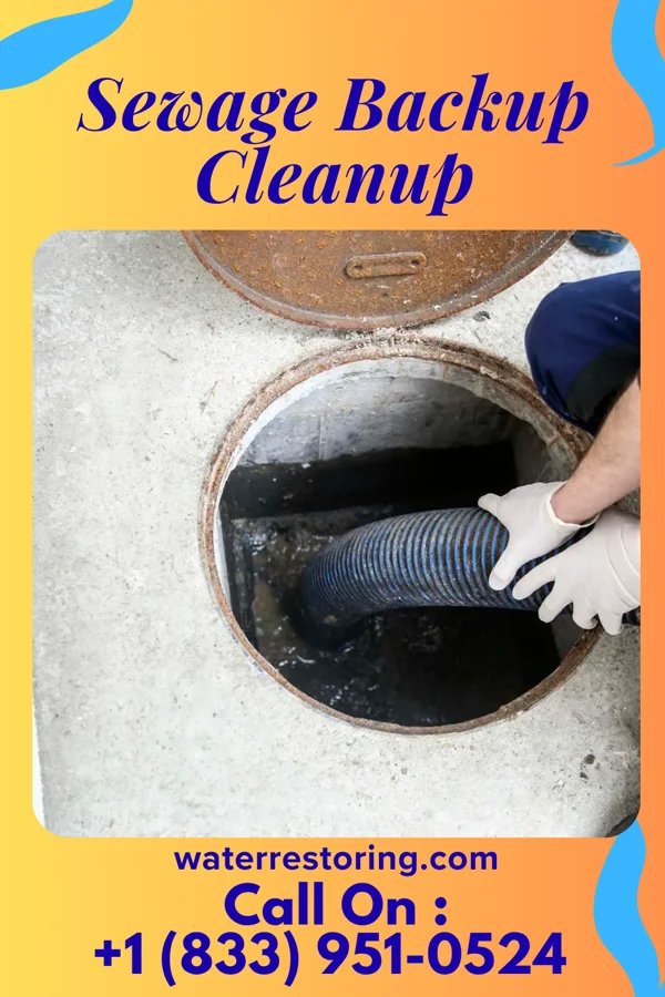 Sewage Backup Cleanup in Leslie, MI
