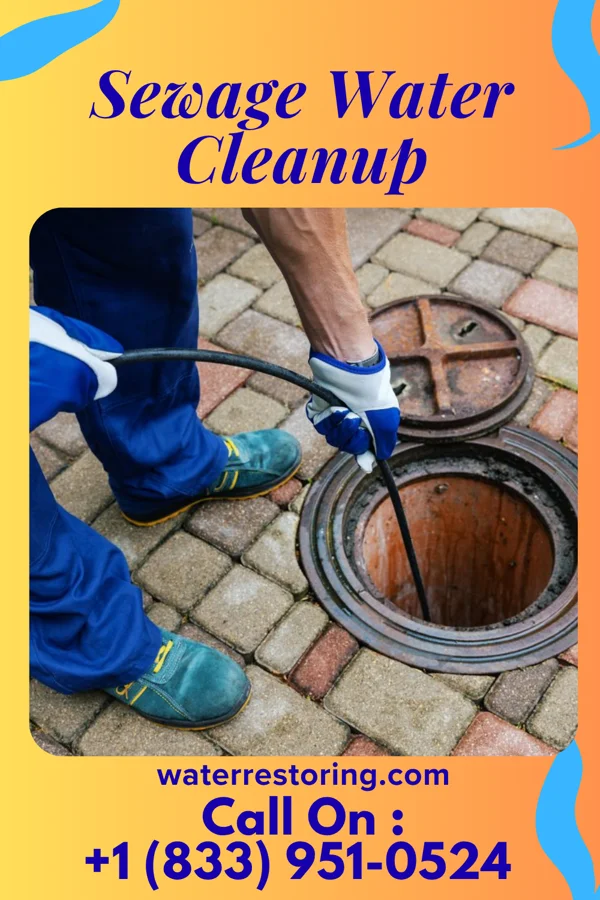 Sewage Water Cleanup in Leslie, MI