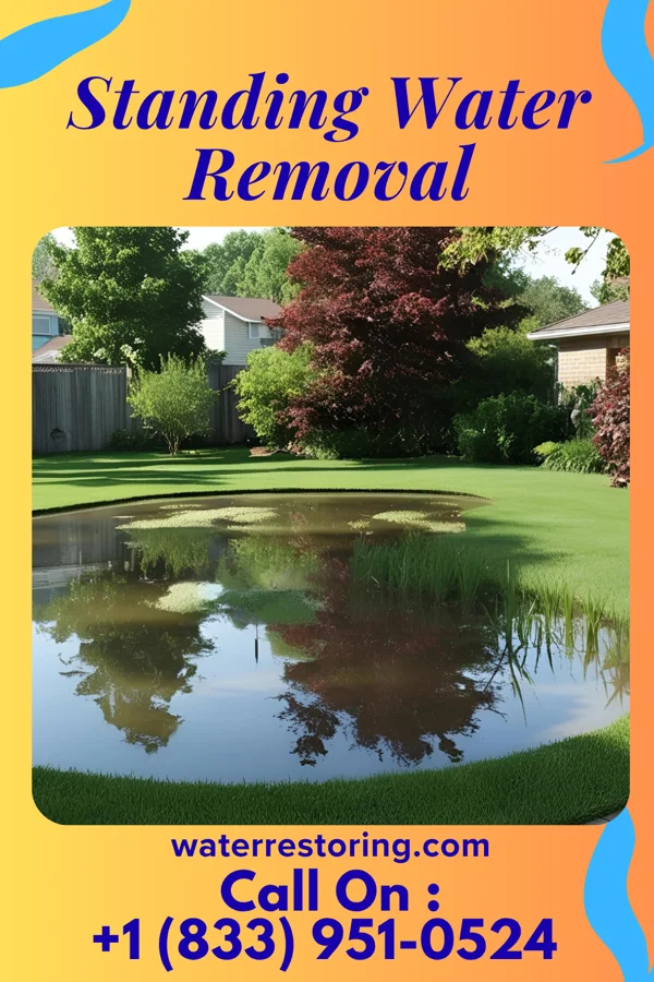 Standing Water Removal in Leslie, MI